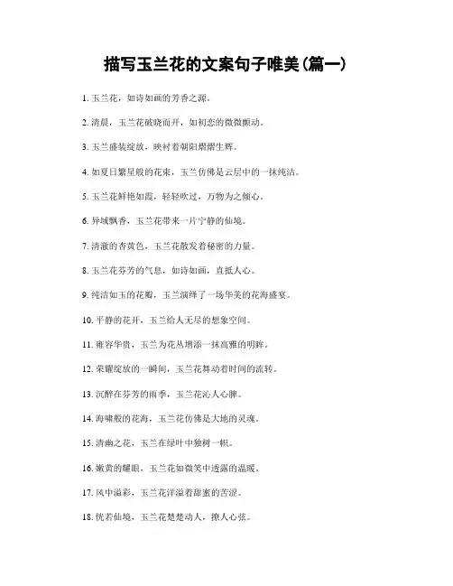 描写玉兰花的文案句子唯美(精选合集2篇)