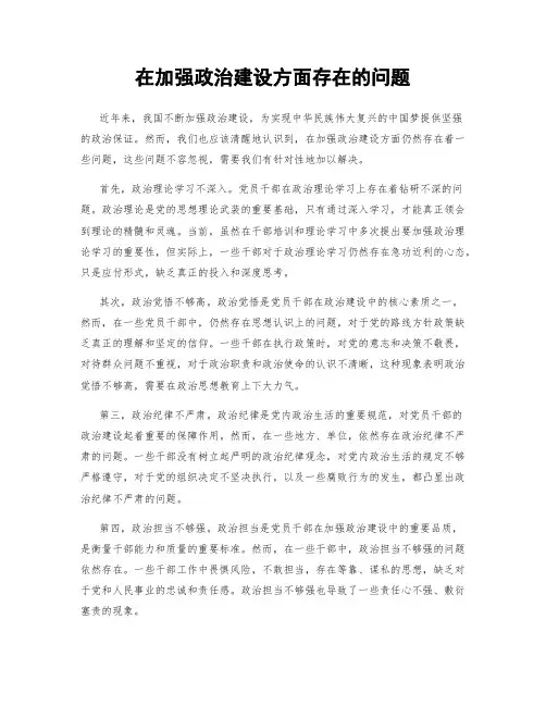 在加强政治建设方面存在的问题