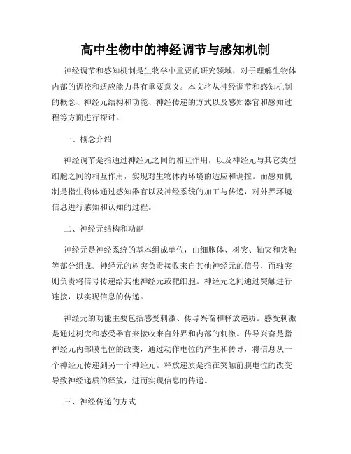 高中生物中的神经调节与感知机制