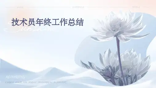 技术员年终工作总结PPT
