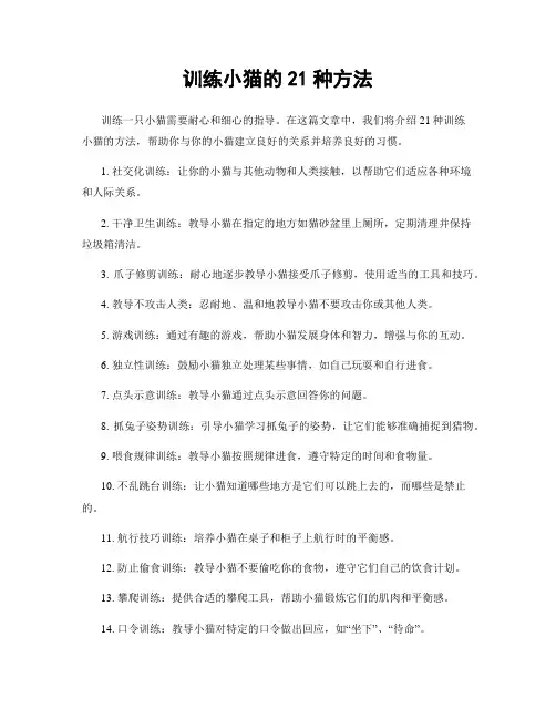 训练小猫的21种方法