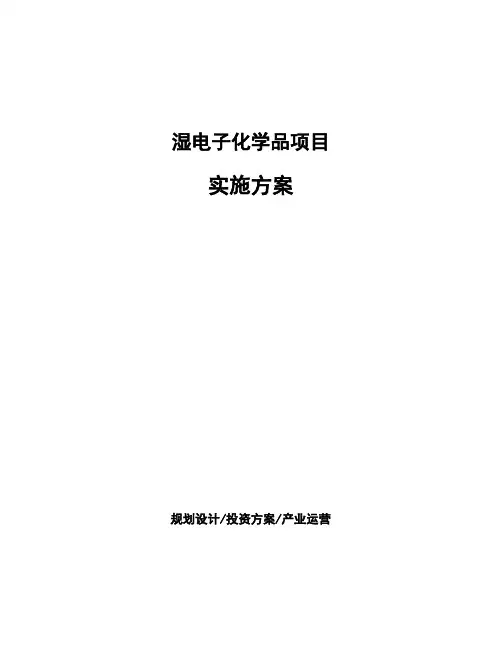 湿电子化学品项目实施方案