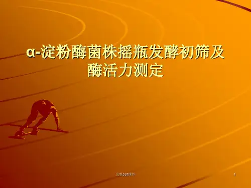 α-淀粉酶菌株摇瓶发酵初筛及酶活力测定