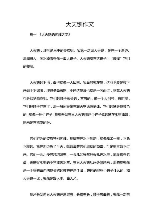 大天鹅作文