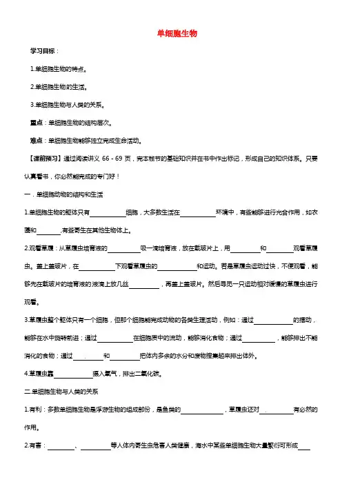 七年级生物上册 2.2.4 单细胞生物导学案