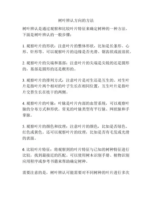 树叶辨认方向的方法