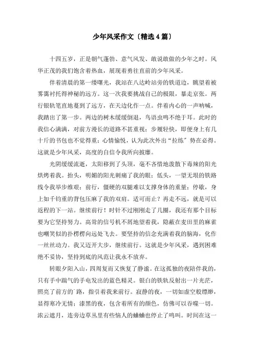 少年风采作文(精选4篇)精编