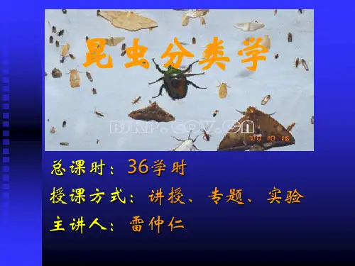 昆虫分类学的概念和发展讲义