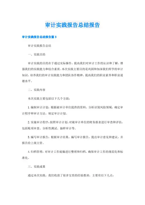 审计实践报告总结报告