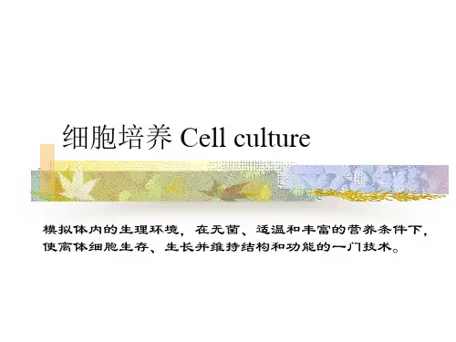 293细胞培养基本技术实践(细胞培养传代计数与冻存)