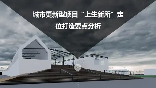 城市更新型项目上生新所专题研究2018.08.29