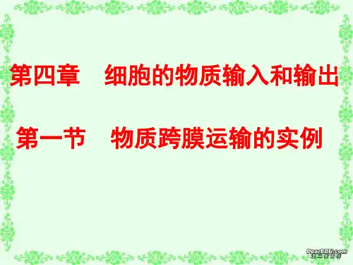 生物必修一第四章