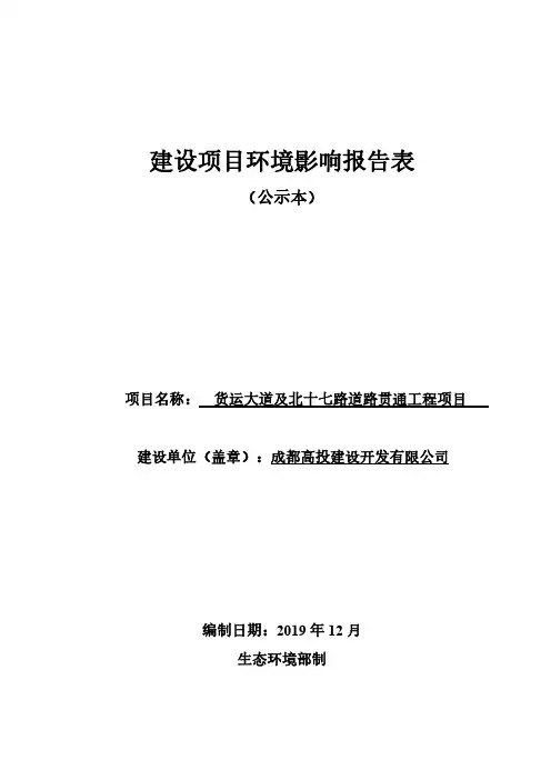 货运大道及北十七路道路贯通工程项目环评报告表
