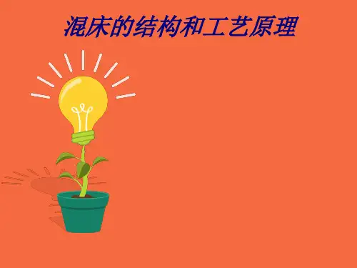 混床的结构和工艺原理PPT培训课件