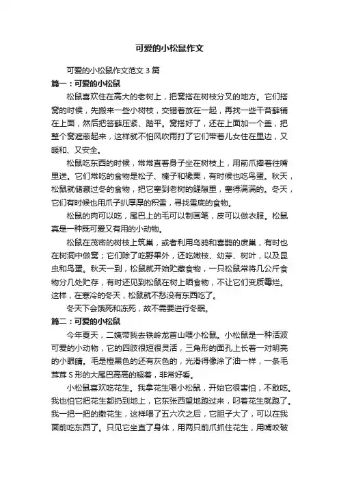可爱的小松鼠作文