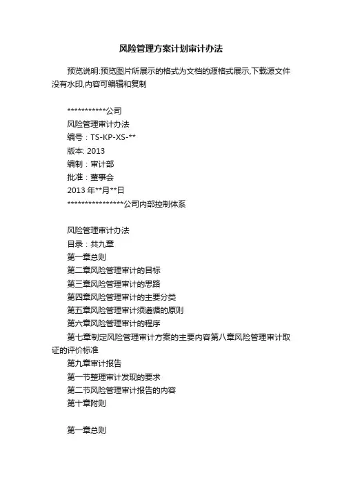 风险管理方案计划审计办法
