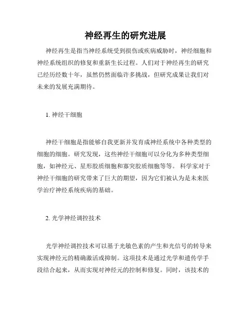 神经再生的研究进展