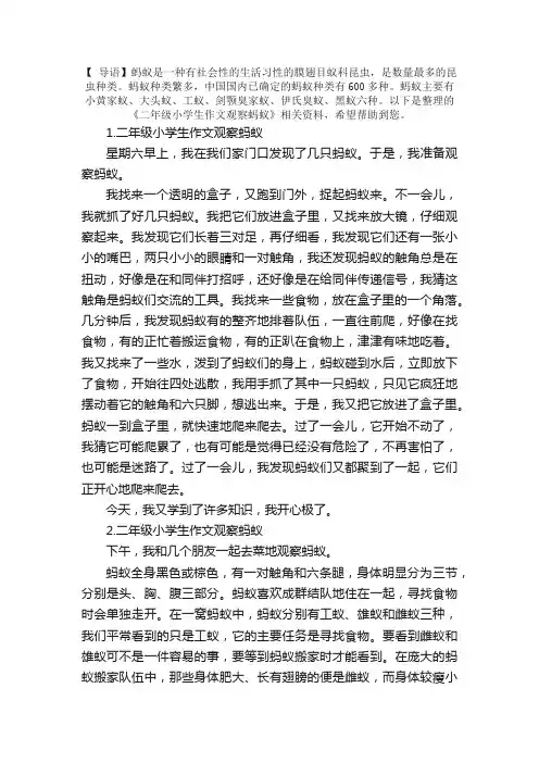 二年级小学生作文观察蚂蚁