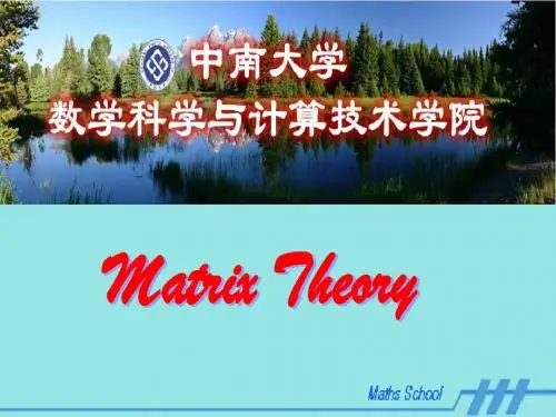 matrix theory(矩阵论)