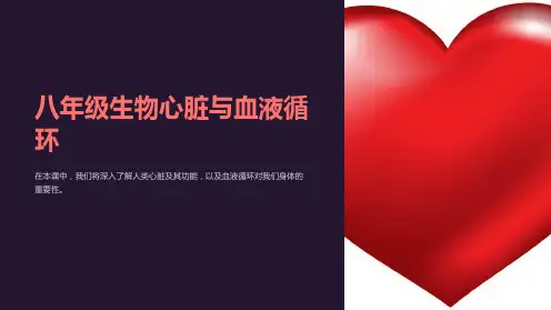 八年级生物心脏与血液循环