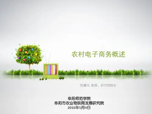 农村电子商务 ppt课件