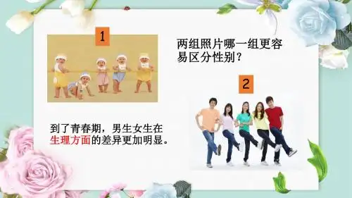 人教版《道德与法治》七年级下册 2.1 男生女生 课件(共27张PPT)