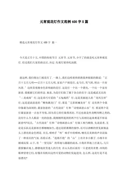 元宵观花灯作文范例400字5篇
