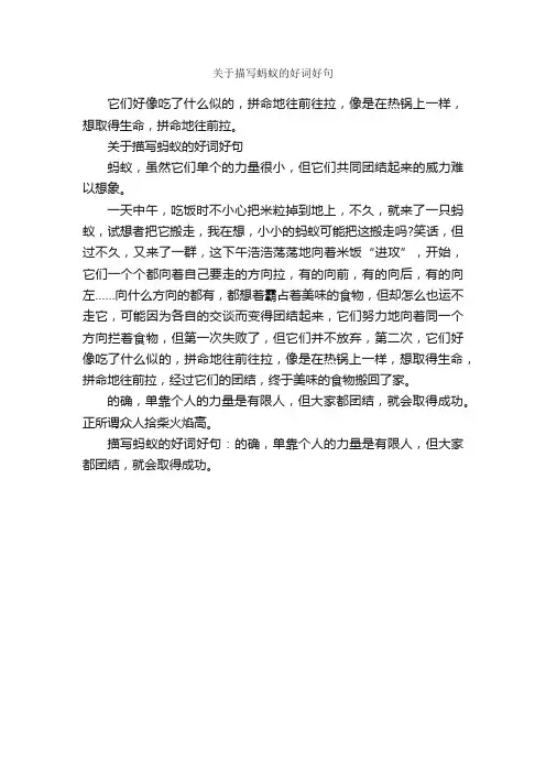 关于描写蚂蚁的好词好句_优美语句素材