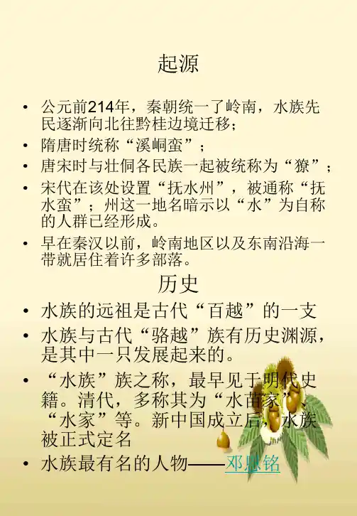 少数民族——水族(6.1)