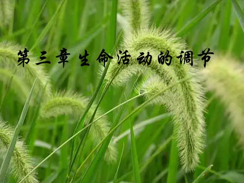 第三章生命活动的调节课件