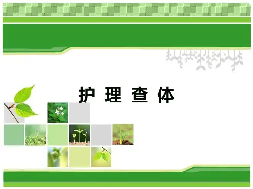护  理  查  体