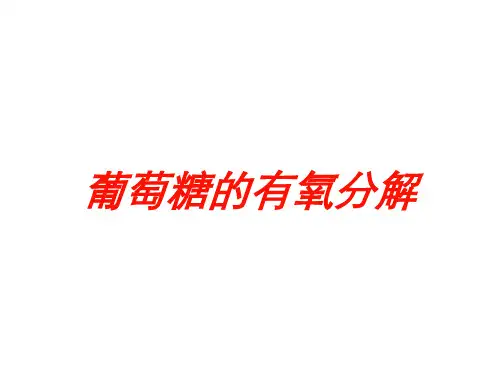 葡萄糖的有氧分解培训课件