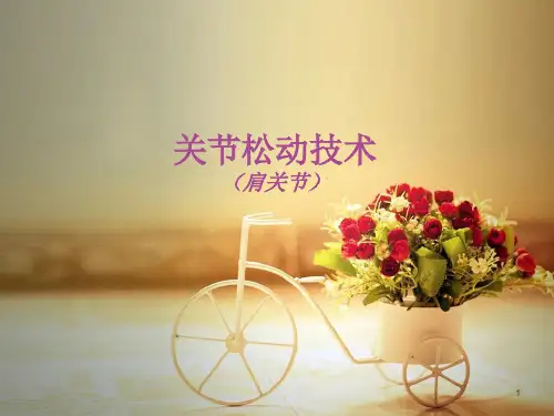 肩关节松动技术ppt课件