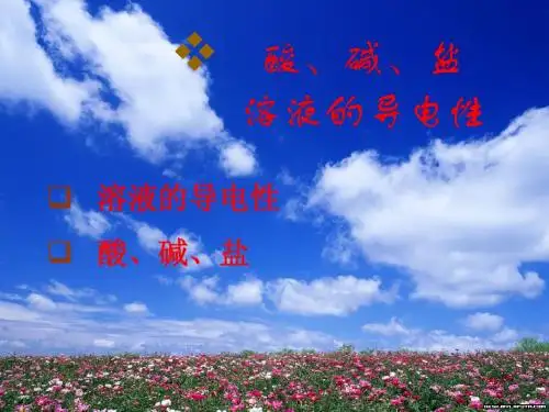 酸碱盐溶液的导电性