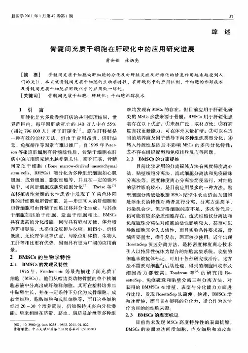 骨髓间充质干细胞在肝硬化中的应用研究进展