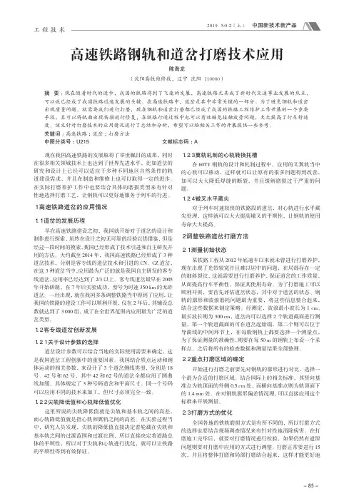 高速铁路钢轨和道岔打磨技术应用