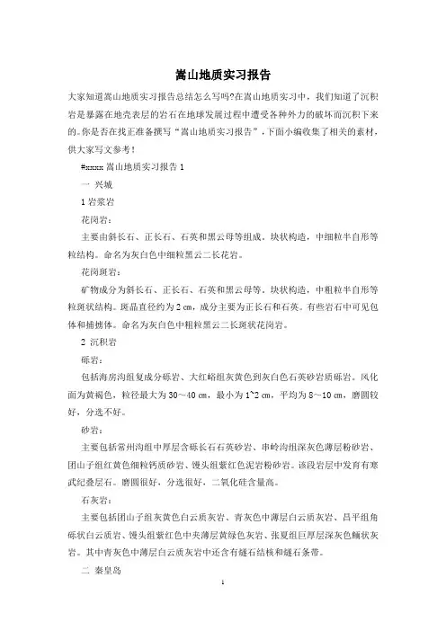 嵩山地质实习报告