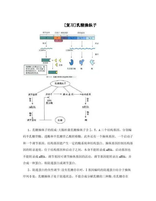 [复习]乳糖操纵子
