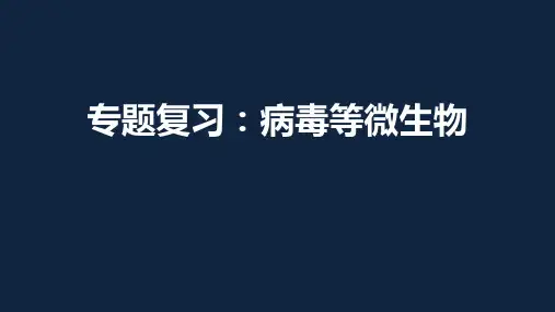 人教版高中生物2020高考二轮复习：病毒等微生物(共14张PPT)
