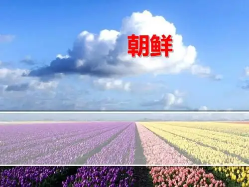 朝鲜
