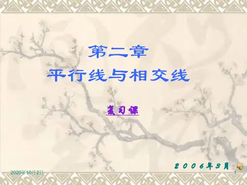 平行线与相交线复习PPT课件