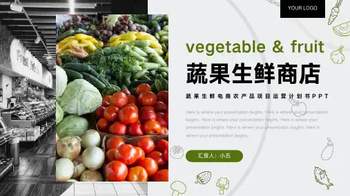 生鲜电商农产品项目运营计划书PPT