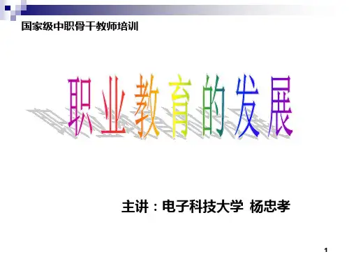 职业教育的发展PPT课件