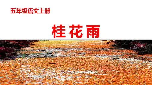 3《桂花雨》(课件)-语文五年级上册统编