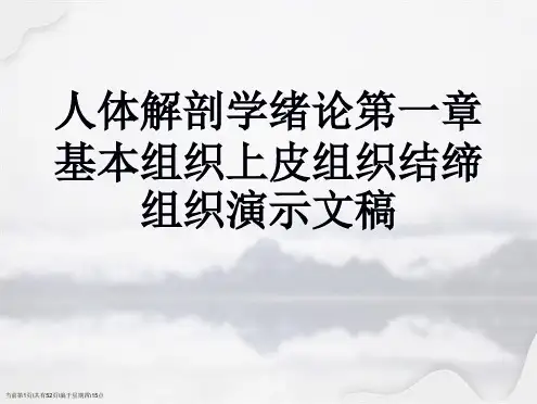 人体解剖学绪论第一章基本组织上皮组织结缔组织演示文稿