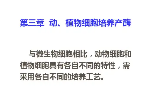 酶工程3 动、植物细胞培养产酶