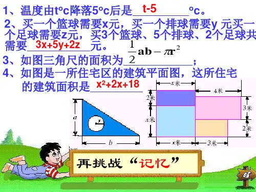 人教版七年级数学上册整式课件