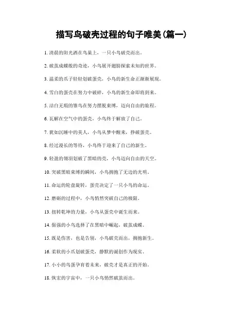 描写鸟破壳过程的句子唯美(精选2篇)