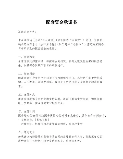 配套资金承诺书