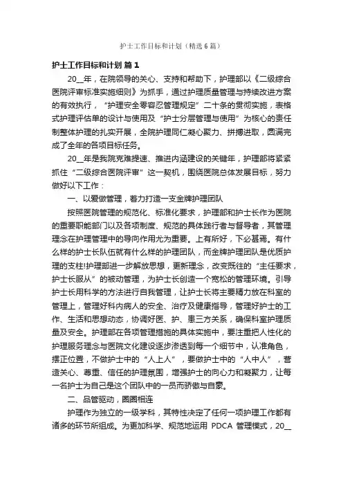 护士工作目标和计划（精选6篇）